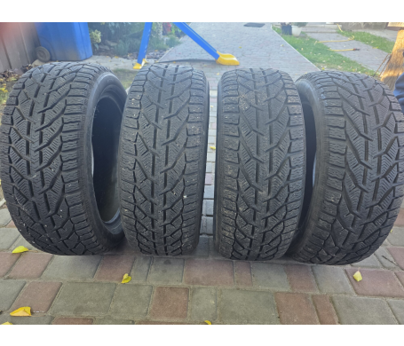 Taurus Winter 225/500 R17 98V