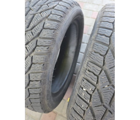 Taurus Winter 225/500 R17 98V