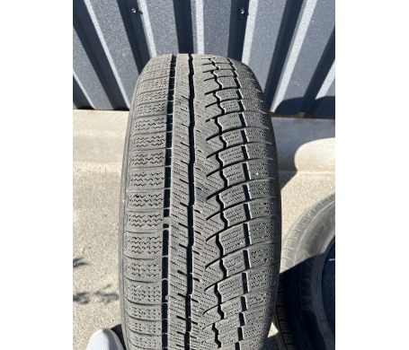 Zeetex WP 1000 225/60 R17 103H