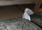Kelly Winter HP 205/55 R16 91T
