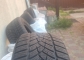 Fulda Kristall Control HP 21/25 R16