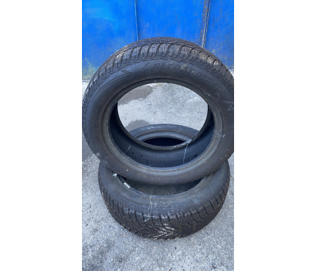 Goodyear UltraGrip Ice 2 205/55 R16 190/190T