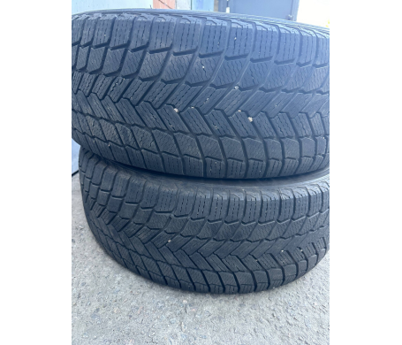 Michelin X-Ice Snow SUV 265/55 R20