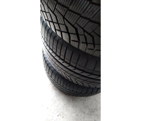 Sailun Ice Blazer Alpine Evo1 315/35 R20 110/106V