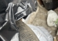 Pirelli Winter Sottozero 3 215/55 R17