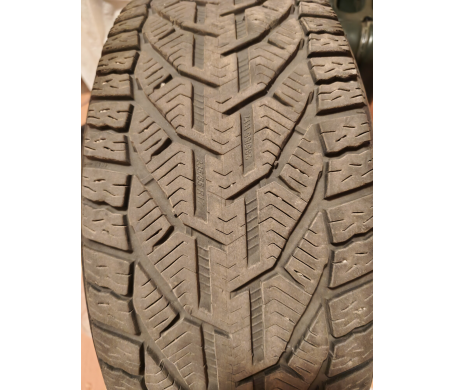 Taurus Winter 235/55 R17 103V