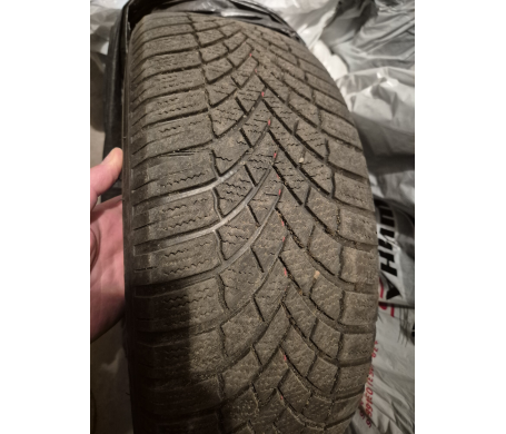 Bridgestone Blizzak DM-V2 205/55 R16 94H