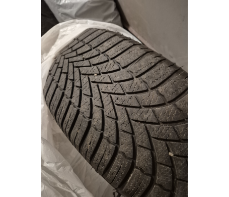 Bridgestone Blizzak DM-V2 205/55 R16 94H
