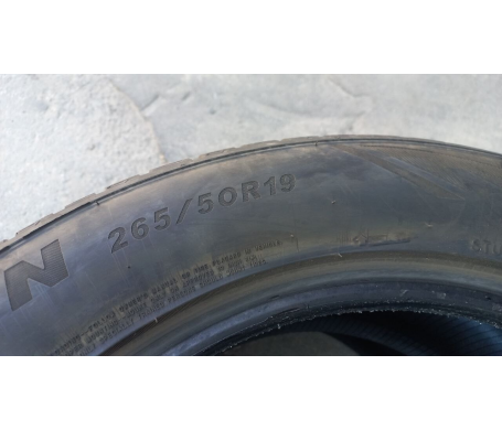 Sailun ICE BLAZER Alpine EVO 265/50 R19 110/110V
