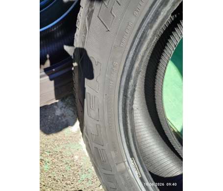 Bridgestone Dueler H/L Alenza 255/55 R20