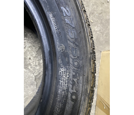 Nordexx WinterSafe N2 275/50 R20 113T