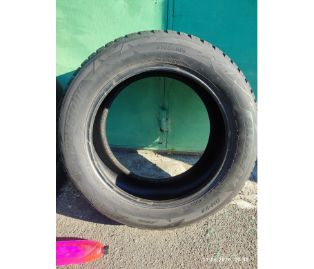 Bridgestone Blizzak DM-V2 275/55 R20