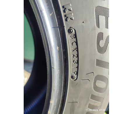 Bridgestone Blizzak DM-V2 275/55 R20