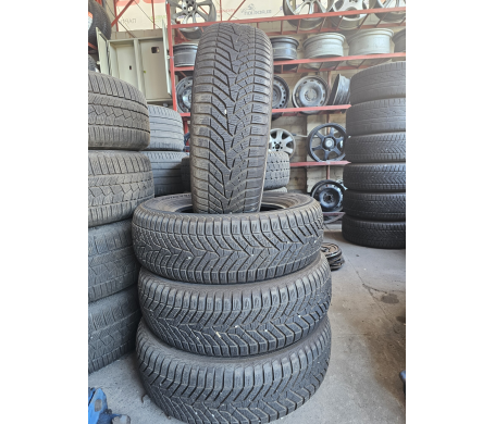 Yokohama BluEarth*Winter V905 225/65 R17 102H