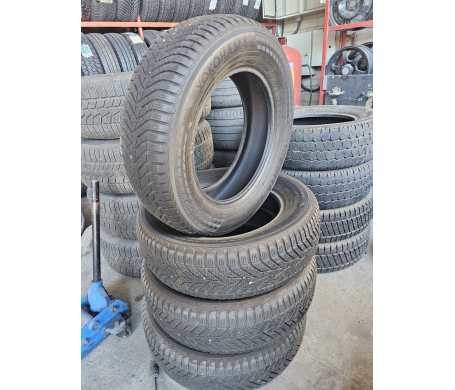 Yokohama BluEarth*Winter V905 225/65 R17 102H