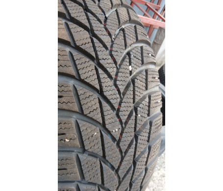 Lassa Snoways 4 225/55 R17 101V