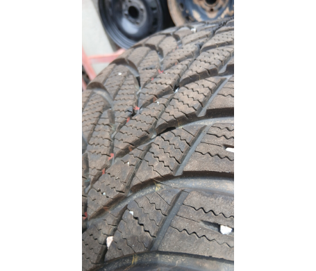 Lassa Snoways 4 225/55 R17 101V