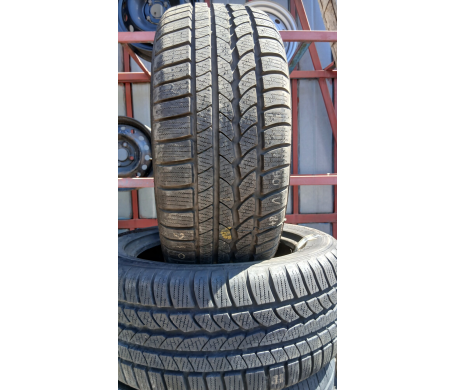 Continental ContiWinterContact TS 790 225/50 R16 96V
