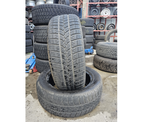 Taurus 601 Winter 225/55 R17 101V