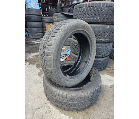 Taurus 601 Winter 225/55 R17 101V