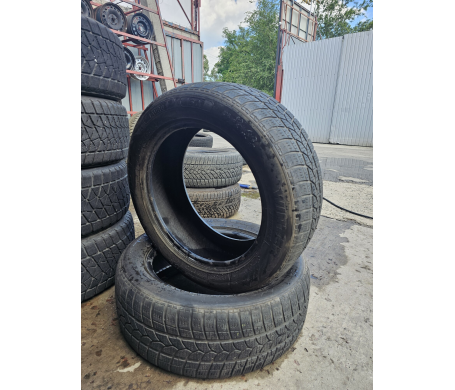 Taurus 601 Winter 225/55 R17 101V