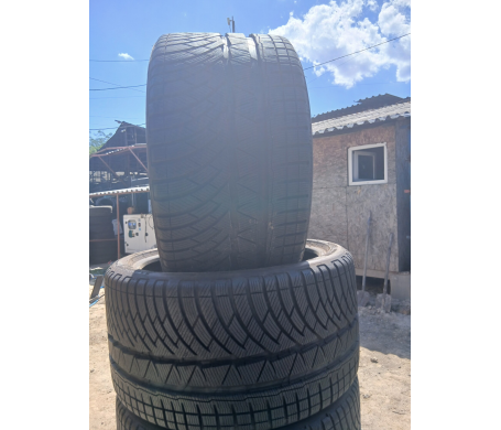 Michelin Pilot Alpin 295/30 R19 100W