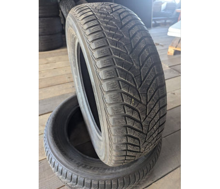 Yokohama BluEarth*Winter V905 225/65 R18 104V