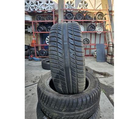 Minerva Eco Stud 205/50 R15 86V