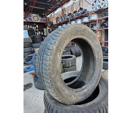 Minerva Eco Stud 205/50 R15 86V