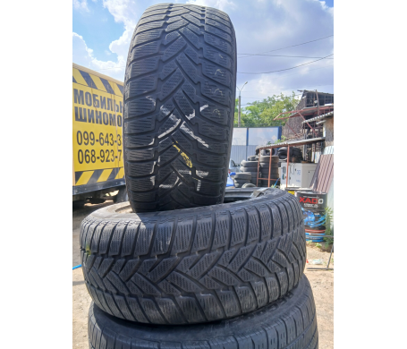 Dunlop GrandTrek WT M3 255/55 R18 109H RunFlat