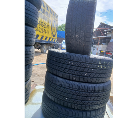 Michelin Latitude Alpin 255/65 R18 114T
