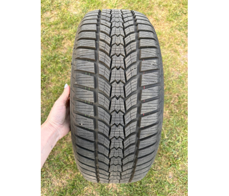 Sava Eskimo HP2 255/55 R17