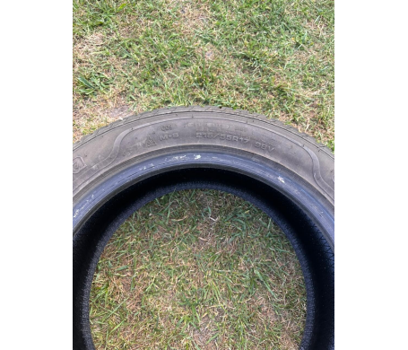 Sava Eskimo HP2 255/55 R17