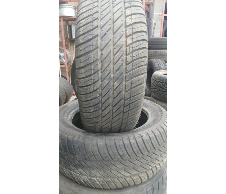 Roadshine RS905 205/50 R15 86V