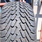 Nexen WinGuard 225/60 R16 98T