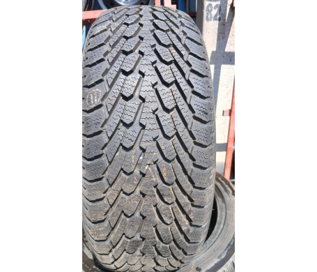 Nexen WinGuard 225/60 R16 98T