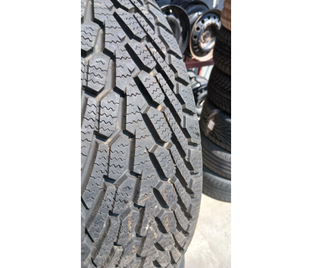 Nexen WinGuard 225/60 R16 98T