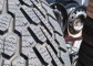 Nexen WinGuard 225/60 R16 98T