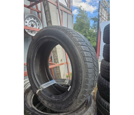 Dunlop SP Winter Sport 3D 235/55 R17 99H