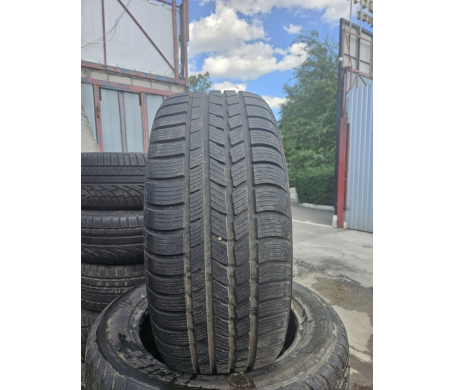 Nexen WinGuard 235/55 R17 103V