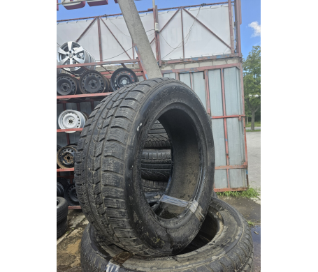 Nexen WinGuard 235/55 R17 103V