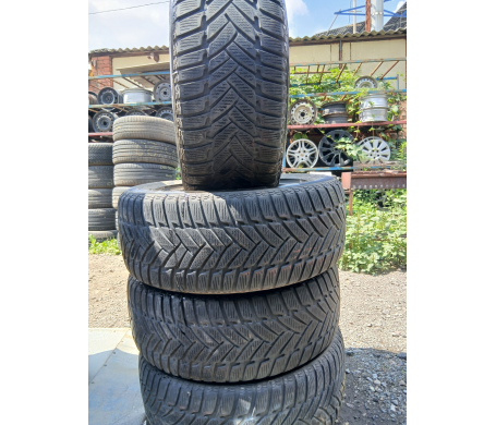 Dunlop Winter Sport 5 245/55 R17 102H