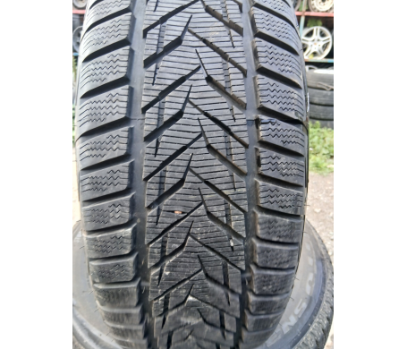 Vredestein Wintrac Xtreme S 225/55 R17 101V