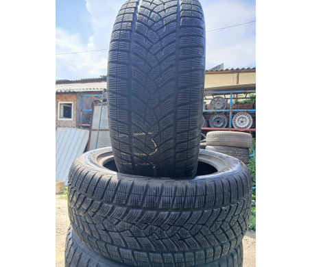 Goodyear Cargo UltraGrip 255/50 R19 107T