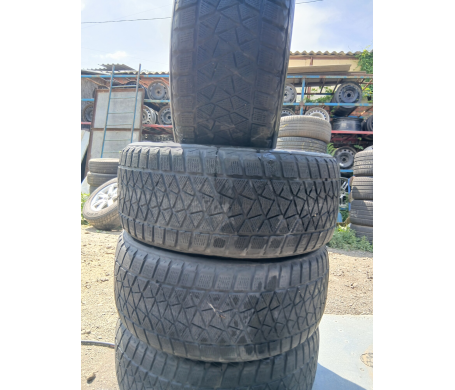 Bridgestone Blizzak DM-V2 265/50 R19 110T