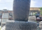 Bridgestone Blizzak DM-V2 265/50 R19 110T
