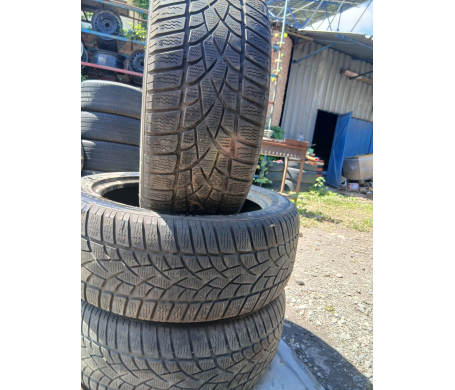 Dunlop SP Winter Sport 3D 235/50 R19 99H