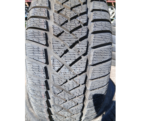 Dunlop SP Winter Sport M2 215/50 R16 90H RunFlat