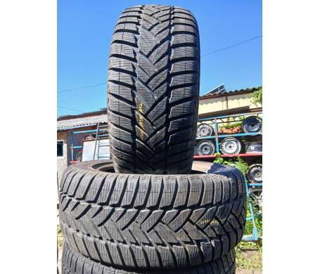 Dunlop SP Winter Sport M3 235/55 R17 99H