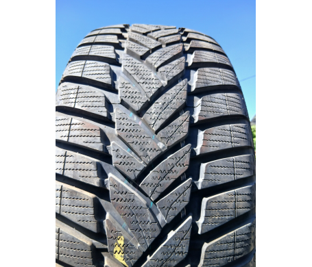 Dunlop SP Winter Sport M3 235/55 R17 99H